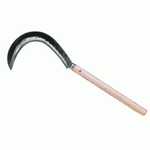 FALCETTO MANICO LUNGO