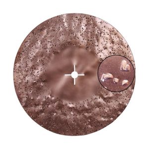 DISCO ABRASIVO BIFACCIA AL CARBURO DI TUNGSTENO P/MAXITITINA