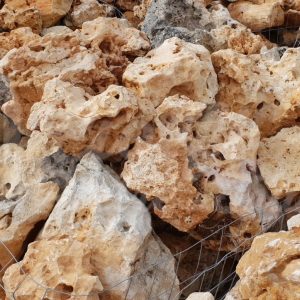 TRANI ROCCIA ORNAMENTALE GRANDE