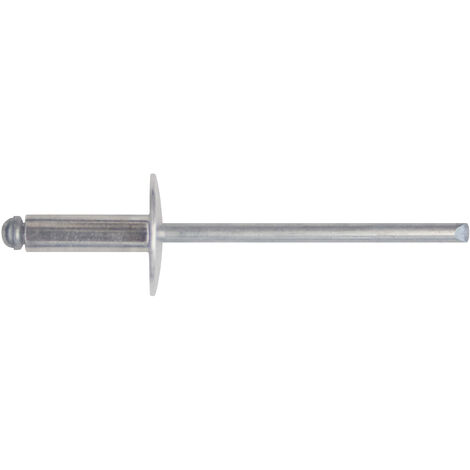 RIVETTI ALL. MM. 4.8X20 confezione pz. 50