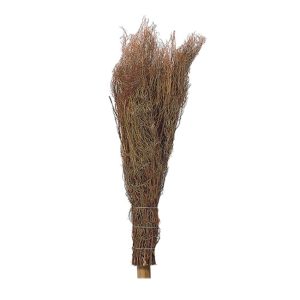 SCOPA ERICA