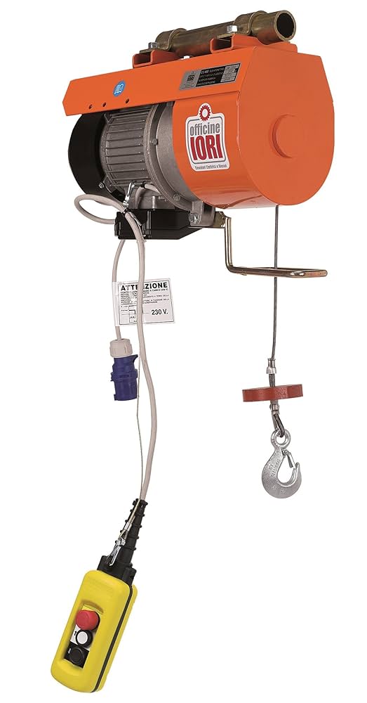 ELEVATORE DM200I S/BANDIERA KG. 200 "IORI"